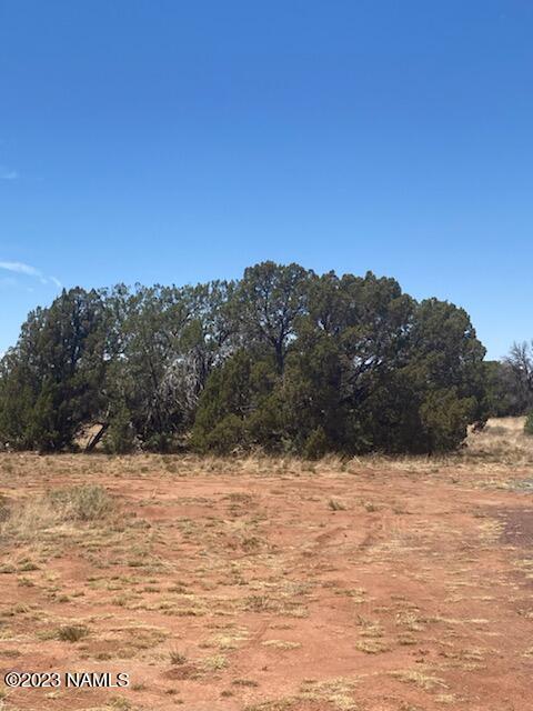 4328 Parker Dr, Williams, AZ 86046 photo 9
