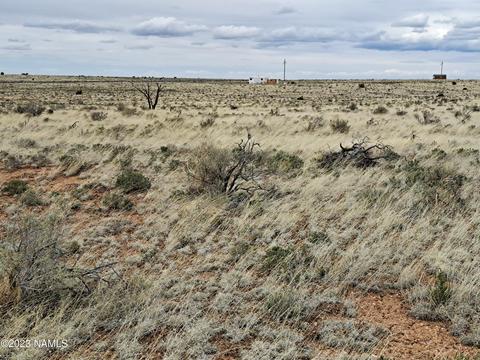 79 W Gila Bnd #653, Valle, AZ 86046