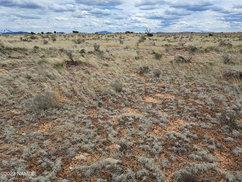 70 W Concho Rd #658, Valle, AZ 86046