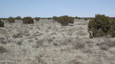 3025 Parker Dr, Williams, AZ 86046 photo 5