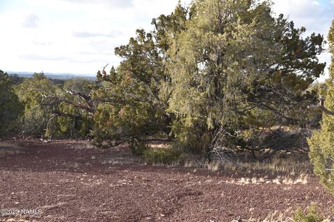 908 E Deerlick Trl, Williams, AZ 86046 photo 4