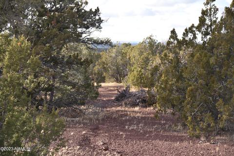 908 E Deerlick Trl, Williams, AZ 86046 photo 3