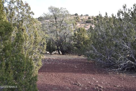 908 E Deerlick Trl, Williams, AZ 86046 photo 5