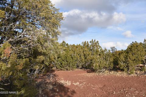 908 E Deerlick Trl, Williams, AZ 86046 photo 1