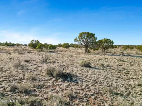 2389 E Mesa Rd #347, Williams, AZ 86046 photo 5