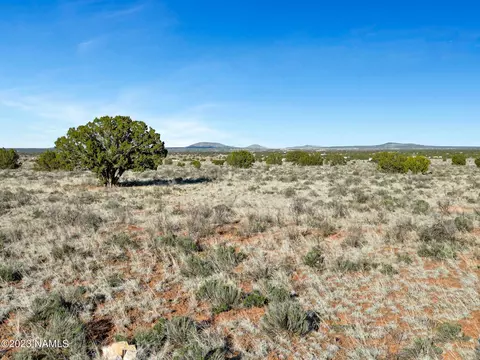 2389 E Mesa Rd #347, Williams, AZ 86046 photo 7