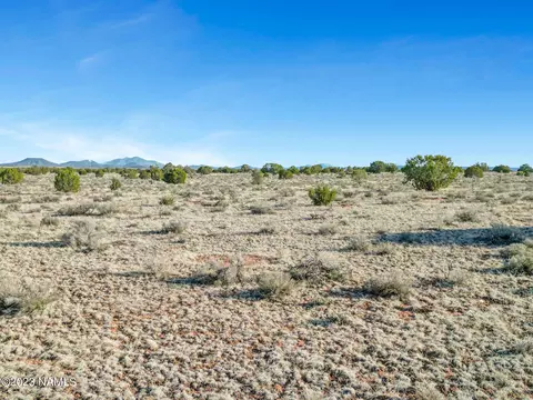 2389 E Mesa Rd #347, Williams, AZ 86046 photo 6