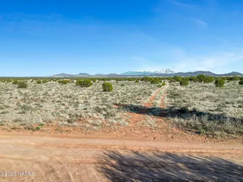 2389 E Mesa Rd #347, Williams, AZ 86046 photo 4