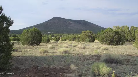 8186 Cassity Trl, Williams, AZ 86046