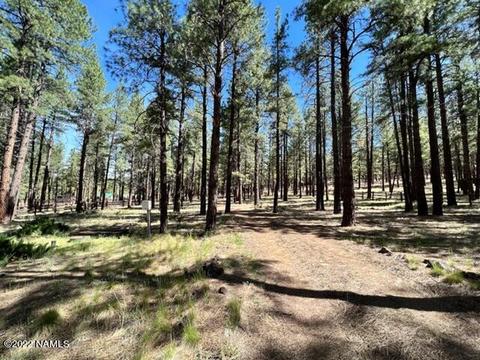 7302 E Long Bow Dr, Williams, AZ 86046 photo 42