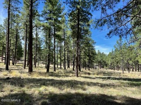 7302 E Long Bow Dr, Williams, AZ 86046 photo 40