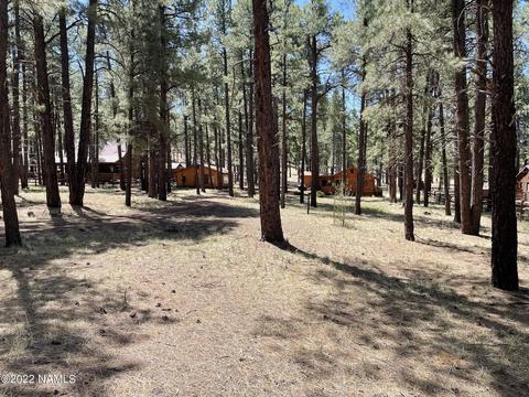 7302 E Long Bow Dr, Williams, AZ 86046 photo 8