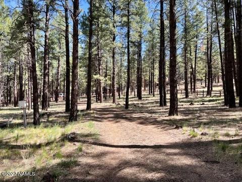 7302 E Long Bow Dr, Williams, AZ 86046 photo 36
