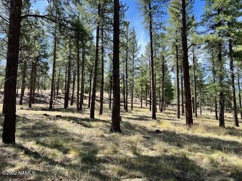 7302 E Long Bow Dr, Williams, AZ 86046 photo 39