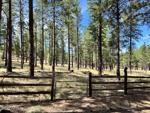 7302 E Long Bow Dr, Williams, AZ 86046 photo 38