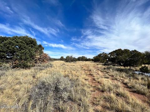 5741 Sublime Dr, Williams, AZ 86046 photo 7