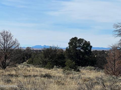 5741 Sublime Dr, Williams, AZ 86046 photo 6