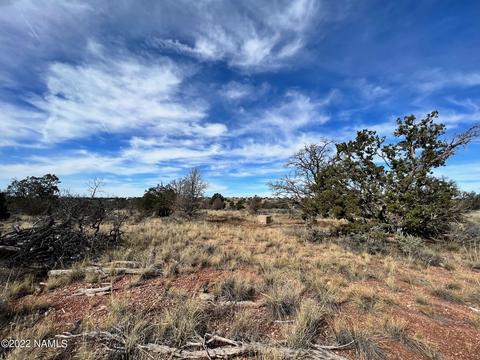 5741 Sublime Dr, Williams, AZ 86046 photo 12
