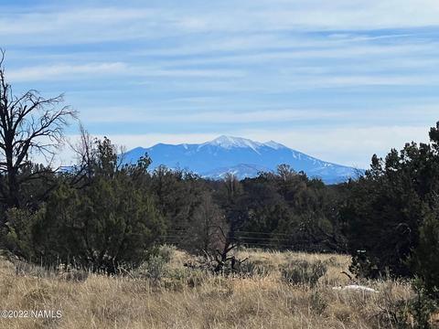 5741 Sublime Dr, Williams, AZ 86046 photo 2