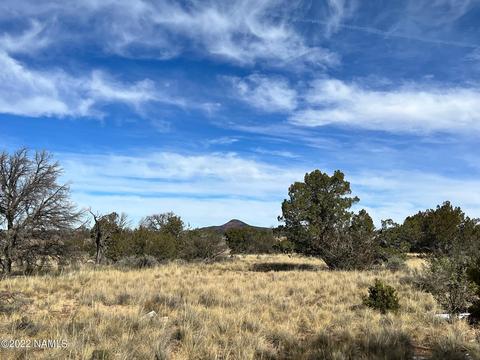 5741 Sublime Dr, Williams, AZ 86046 photo 4