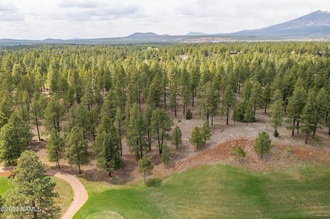 3690 S Woodland Hills Dr #382, Flagstaff, AZ 86005