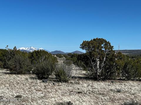 9264 State Route 64 #251, Williams, AZ 86046