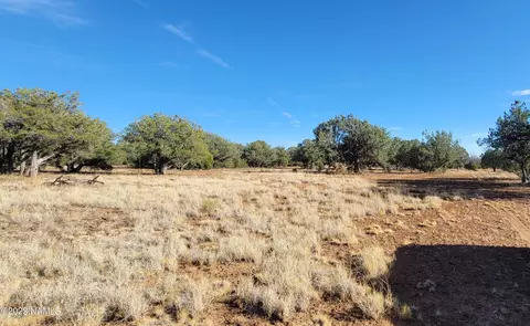Parcel #20520009, Williams, AZ 86046