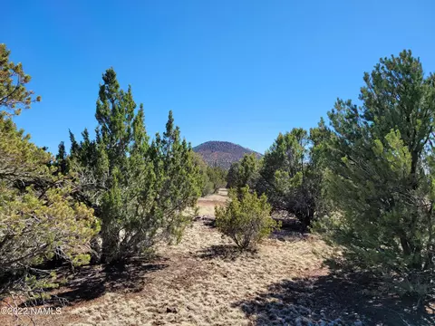 1171 E Alimos Way, Williams, AZ 86046