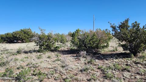 4719 Whitetail Loop, Williams, AZ 86046 photo 9