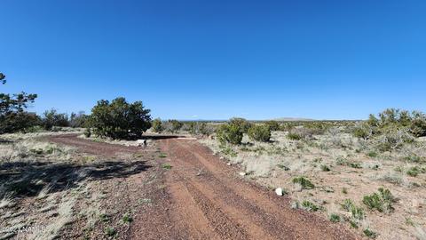 4719 Whitetail Loop, Williams, AZ 86046 photo 6