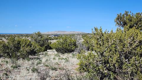 4719 Whitetail Loop, Williams, AZ 86046 photo 3