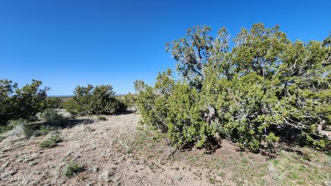 4719 Whitetail Loop, Williams, AZ 86046 photo 8