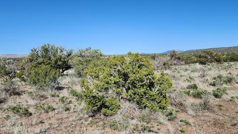 4719 Whitetail Loop, Williams, AZ 86046 photo 10