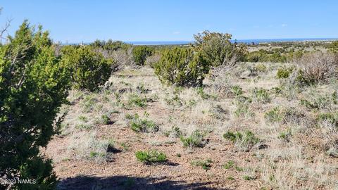 4719 Whitetail Loop, Williams, AZ 86046 photo 11