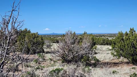4719 Whitetail Loop, Williams, AZ 86046 photo 18