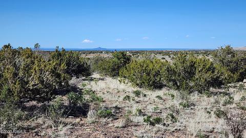 4719 Whitetail Loop, Williams, AZ 86046 photo 4