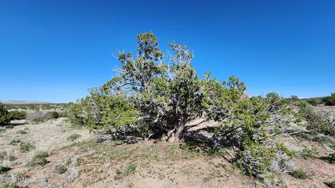 4719 Whitetail Loop, Williams, AZ 86046 photo 19