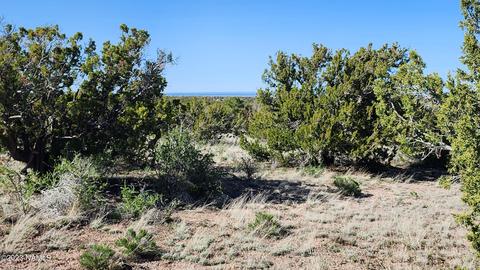 4719 Whitetail Loop, Williams, AZ 86046 photo 7