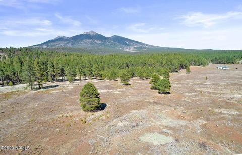 9449 Ranch At The Peaks Way #48, Flagstaff, AZ 86001