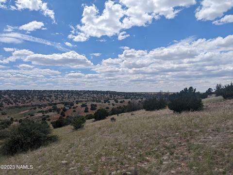 6443 Black Burro - 1201 Ac Loop #LOT A, Williams, AZ 86046