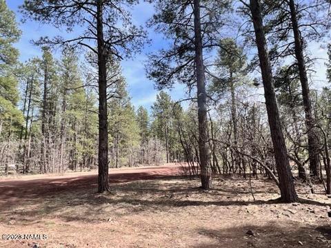 3919 Pine Top Dr, Williams, AZ 86046 photo 9