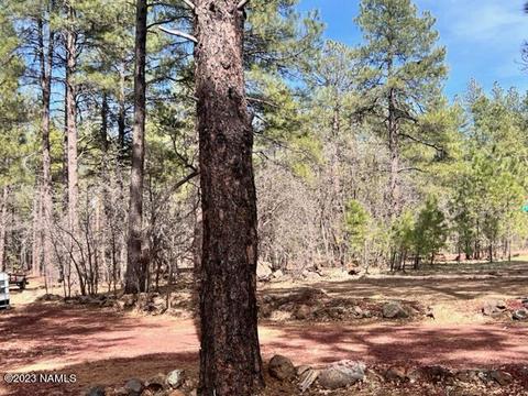 3919 Pine Top Dr, Williams, AZ 86046 photo 3