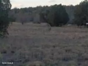 0 Angels Lndg #139, Ash Fork, AZ 86320