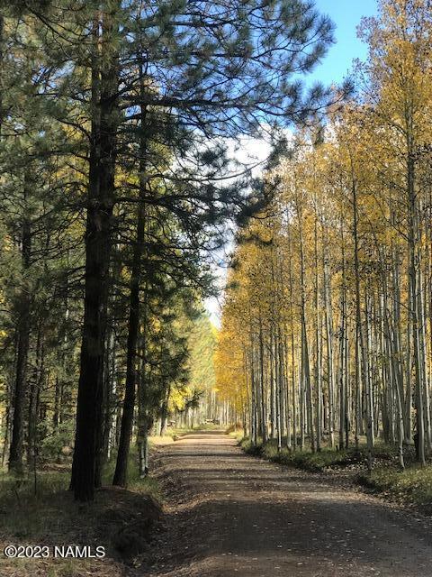 7891 W Freedline Rd, Flagstaff, AZ 86001