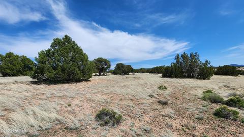 3580 W Clove Hitch Rd, Williams, AZ 86046