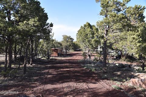 1419 W Maverick Ln, Williams, AZ 86046