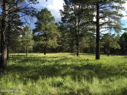 000 151, Flagstaff, AZ 86001