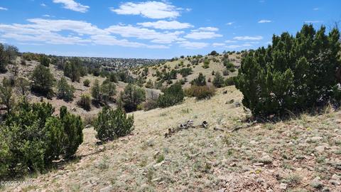 6132 W Dusty Canyon Trl, Williams, AZ 86046