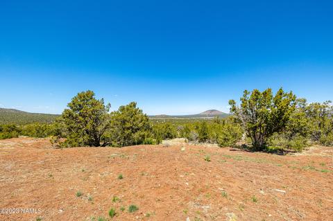 803 E Longpoint Vis, Williams, AZ 86046 photo 52