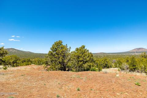 803 E Longpoint Vis, Williams, AZ 86046 photo 54